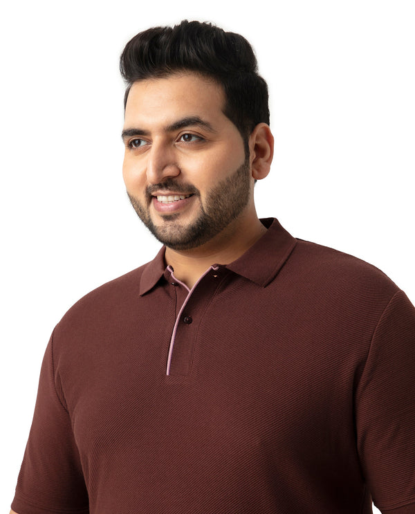 Rare Rabbit Men's Turino Brown Cotton Fabric Collared Neck Half Sleeves Textured Polo T-Shirt Plus Size