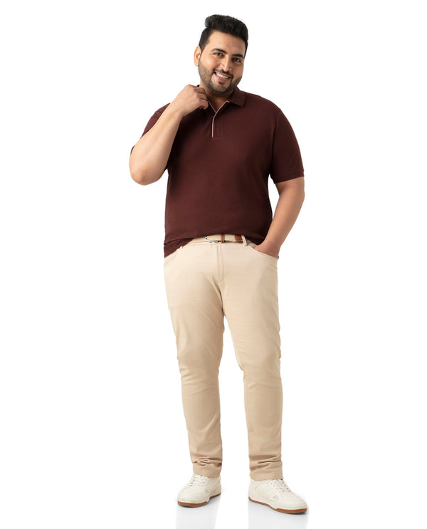 Rare Rabbit Men's Turino Brown Cotton Fabric Collared Neck Half Sleeves Textured Polo T-Shirt Plus Size