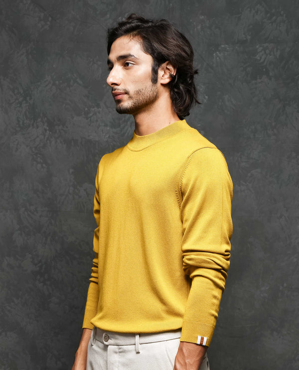 Rare Rabbit Mens Alfo 1 Mustard Sweater Viscose Nylon Fabric High Neck Knitted Full Sleeves Fitted