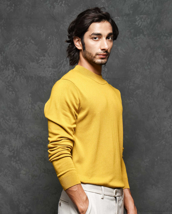 Rare Rabbit Mens Alfo 1 Mustard Sweater Viscose Nylon Fabric High Neck Knitted Full Sleeves Fitted