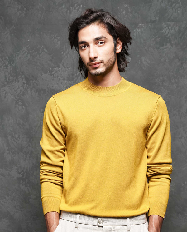 Rare Rabbit Mens Alfo 1 Mustard Sweater Viscose Nylon Fabric High Neck Knitted Full Sleeves Fitted