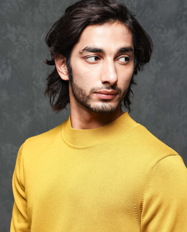 Rare Rabbit Mens Alfo 1 Mustard Sweater Viscose Nylon Fabric High Neck Knitted Full Sleeves Fitted