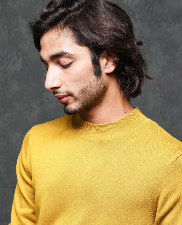 Rare Rabbit Mens Alfo 1 Mustard Sweater Viscose Nylon Fabric High Neck Knitted Full Sleeves Fitted