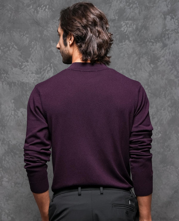 Rare Rabbit Mens Alfo 1 Purple Sweater Viscose Nylon Fabric High Neck Knitted Full Sleeves Fitted