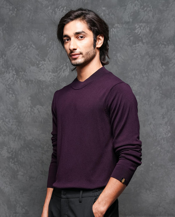 Rare Rabbit Mens Alfo 1 Purple Sweater Viscose Nylon Fabric High Neck Knitted Full Sleeves Fitted