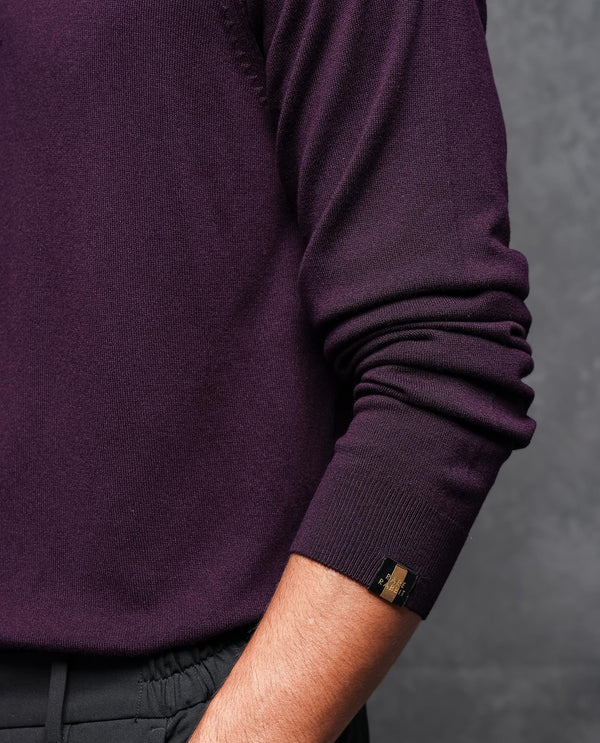 Rare Rabbit Mens Alfo 1 Purple Sweater Viscose Nylon Fabric High Neck Knitted Full Sleeves Fitted