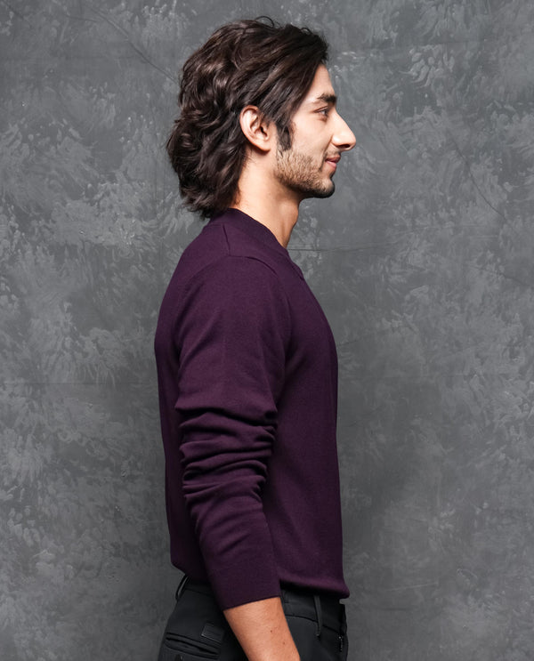 Rare Rabbit Mens Alfo 1 Purple Sweater Viscose Nylon Fabric High Neck Knitted Full Sleeves Fitted