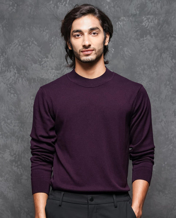 Rare Rabbit Mens Alfo 1 Purple Sweater Viscose Nylon Fabric High Neck Knitted Full Sleeves Fitted