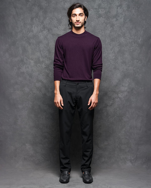 Rare Rabbit Mens Alfo 1 Purple Sweater Viscose Nylon Fabric High Neck Knitted Full Sleeves Fitted