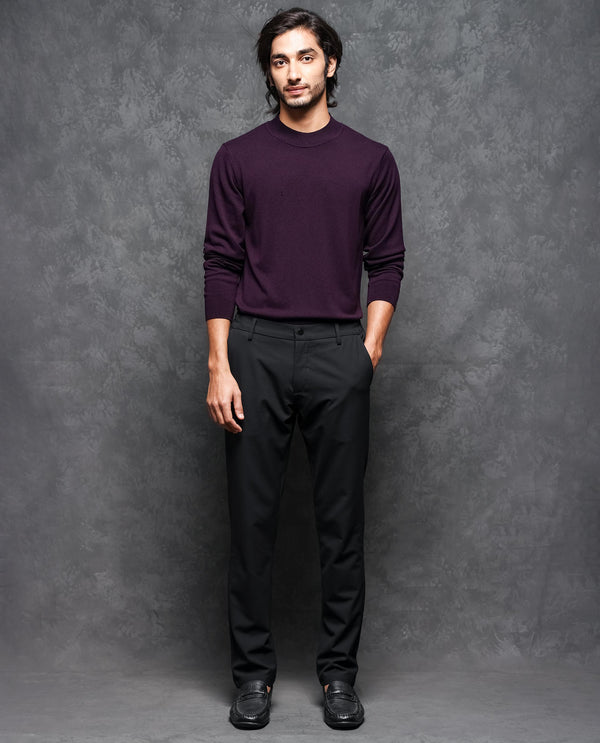 Rare Rabbit Mens Alfo 1 Purple Sweater Viscose Nylon Fabric High Neck Knitted Full Sleeves Fitted