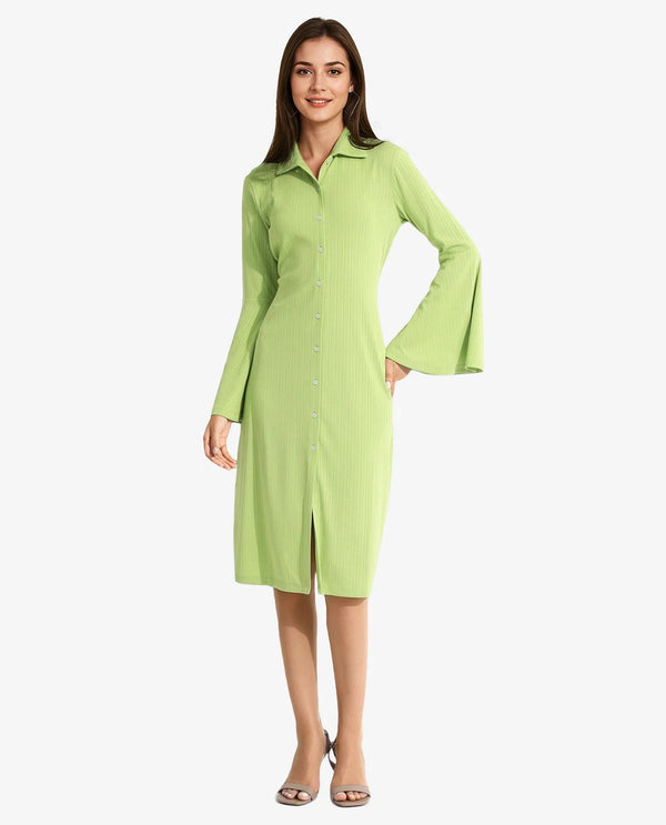 Rareism Women's Aqua Flouroscent Green  Spread Collar Button Closure Bell Sleeve Plain A-Line Knee Length Dress