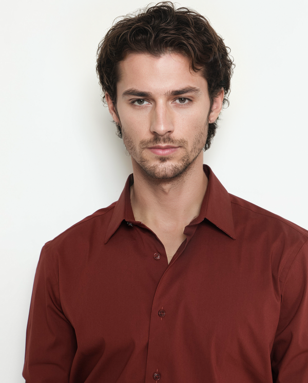 Rare Rabbit Men's Benedict Rust Cotton Poly Elastane Blend Fabric Full Sleeve Solid Formal Shirt
