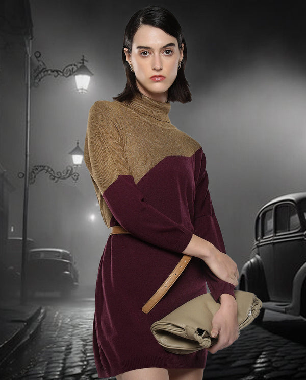 Rareism Women Spaton Maroon Plain Crew Neck Plain Sweater