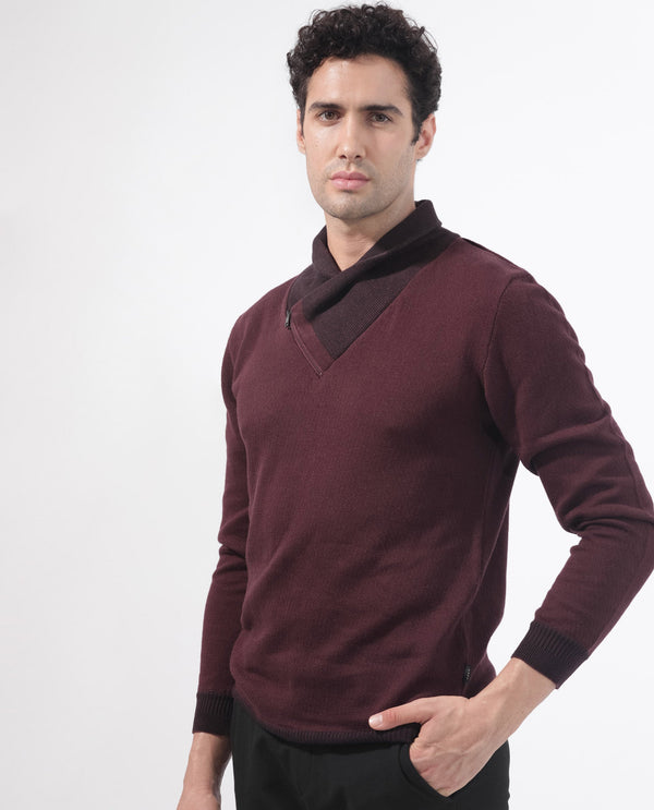 Rare Rabbit Mens Denver Brown Sweater Full Sleeve Collared Neck Solid