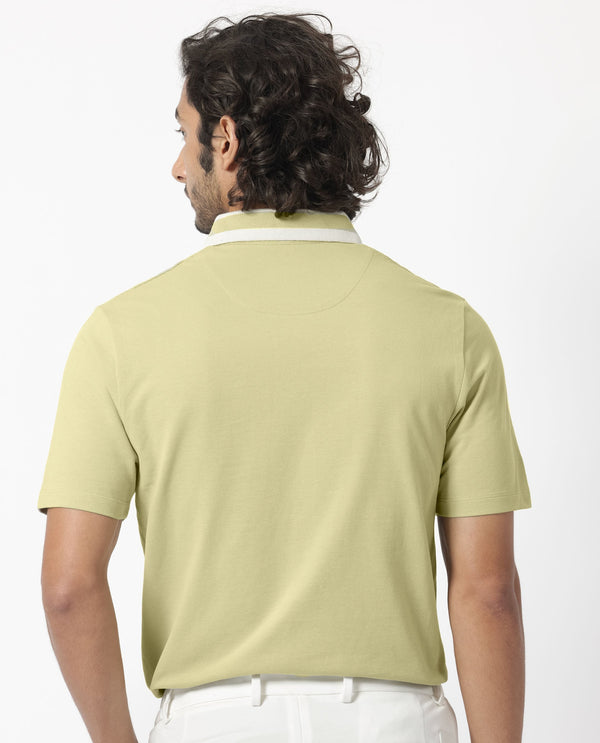 Rare Rabbit Men's Divide Dusky Green Cotton Fabric Striped Collar Half Sleeves Polo T-Shirt