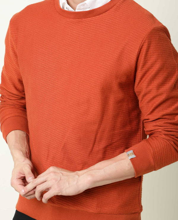 Rare Rabbit Men's Earl Rust Cotton Fabric Full Sleeves Textured Knitted Sweatshirt