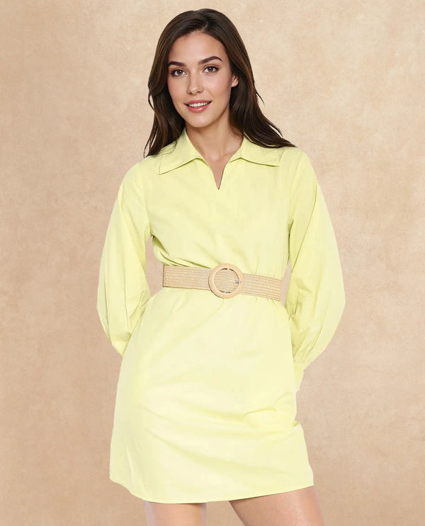 Rareism Women Earo Light Green Cuffed Sleeve Collared Neck Mini Plain Dress
