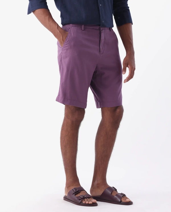 Rare Rabbit Mens Edam Light Purple Mid Rise Regular Fit Solid Shorts