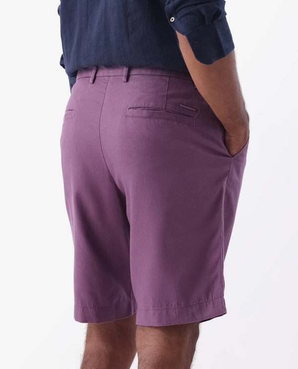 Rare Rabbit Mens Edam Light Purple Mid Rise Regular Fit Solid Shorts