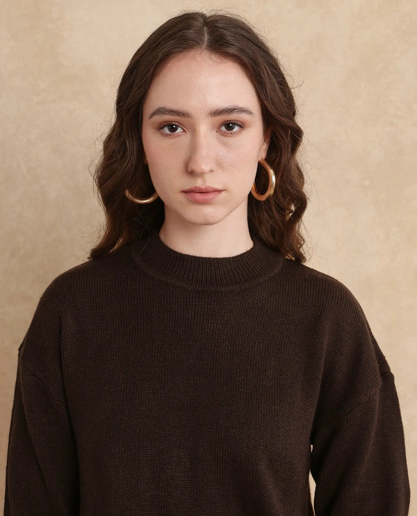 Rareism Women Ferny Brown Acrylic Nylon Fabric Full Sleeve Turtle Neck Plain Sweater