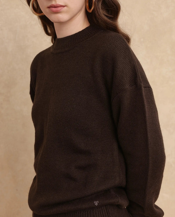 Rareism Women Ferny Brown Acrylic Nylon Fabric Full Sleeve Turtle Neck Plain Sweater