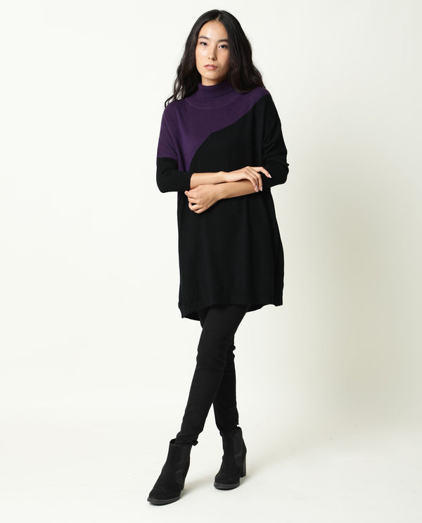 Rareism Women Spaton Purple Acrylic Fabric Full Sleeves Knee Length Regular Fit Color Blocked High Neck Sweater