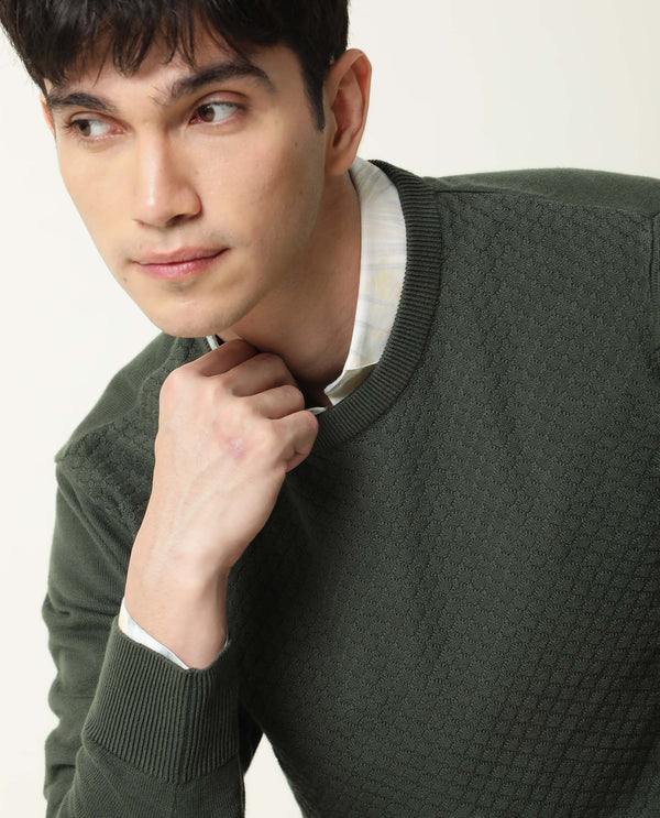 Rare Rabbit Men'S Cable Olive Sweater Cotton Fabric Full Sleeves