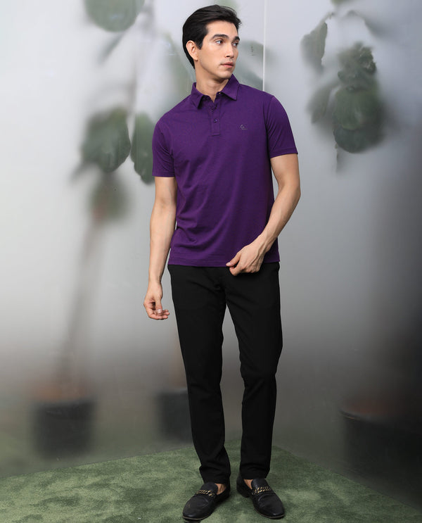 Rare Rabbit Men's Tunas Dark Purple Cotton Polyester Fabric Collared Neck Half Sleeves Striped Polo T-Shirt