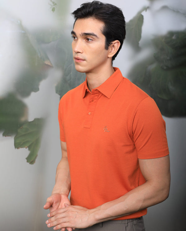 Rare Rabbit Men's Tunas Dark Rust Cotton Polyester Fabric Collared Neck Half Sleeves Striped Polo T-Shirt
