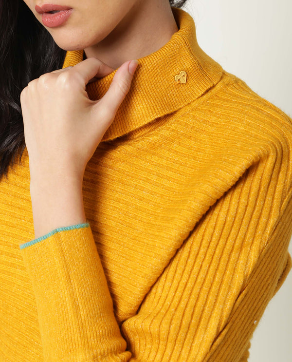 Rareism Women Levour Mustard Acrylic Fabric Full Sleeves Relaxed Fit Solid Turtle Neck Sweater