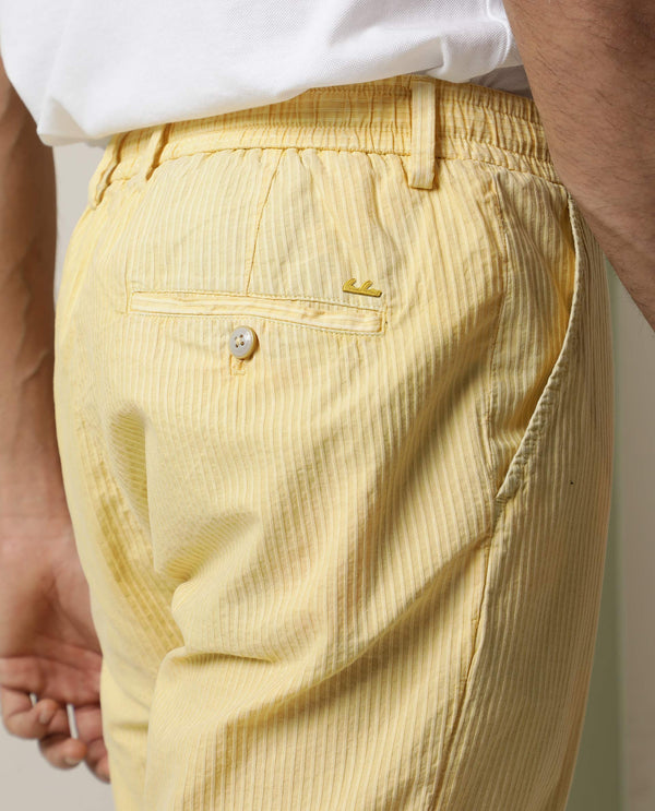 Rare Rabbit Men's Monter Mustard Stripe Dobby Mid-Rise With Drawstring And Elastic Waistband Regular Fit Trouser