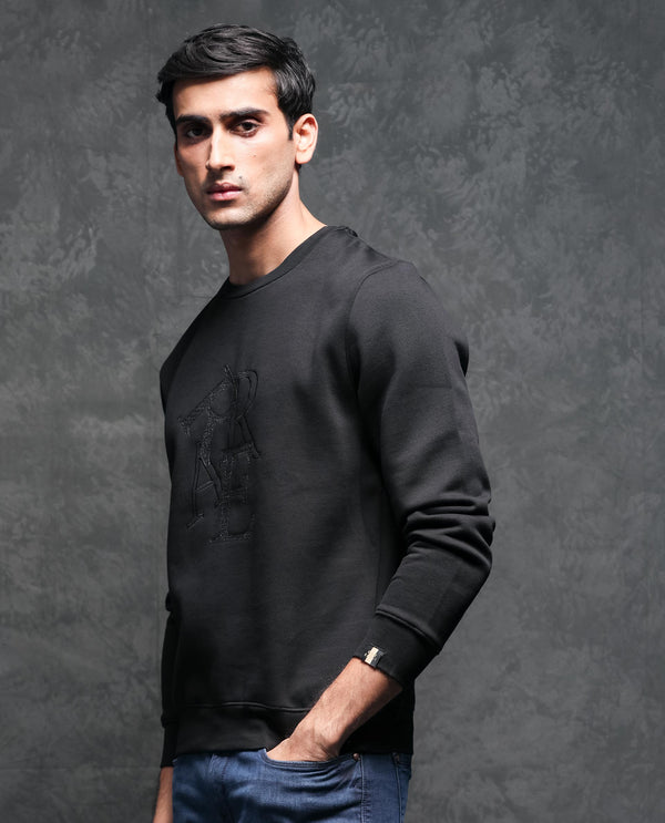 Rare Rabbit Mens Ingrid Black Cotton Polyester Fabric Crew Neck Full Sleeves Regular Fit Sweatshirt