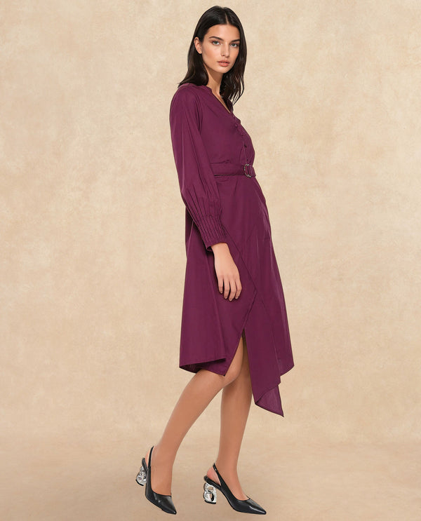 Rareism Women Iona Purple Plain Dress
