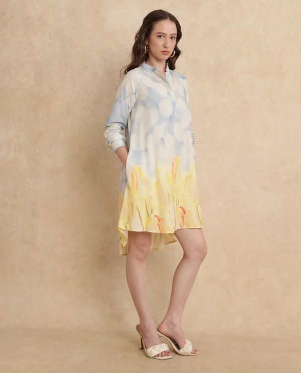 Rareism Women's Jancon Light Multi Modal Fabric Band Collar Button Closure Raglan Sleeve Floral Print A-Line Mini Dress