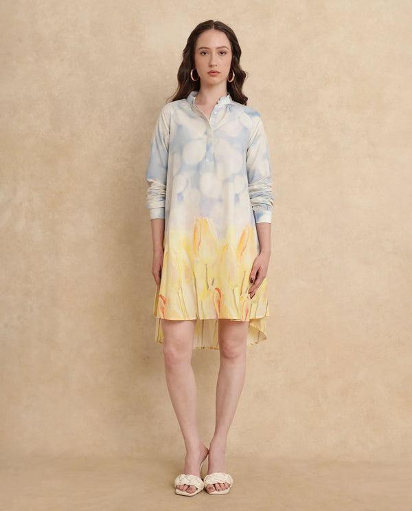Rareism Women's Jancon Light Multi Modal Fabric Band Collar Button Closure Raglan Sleeve Floral Print A-Line Mini Dress
