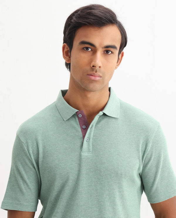 Rare Rabbit Men's Mello Dusky Green Cotton Polyester Fabric Collared Neck Half Sleeves Textured Polo T-Shirt