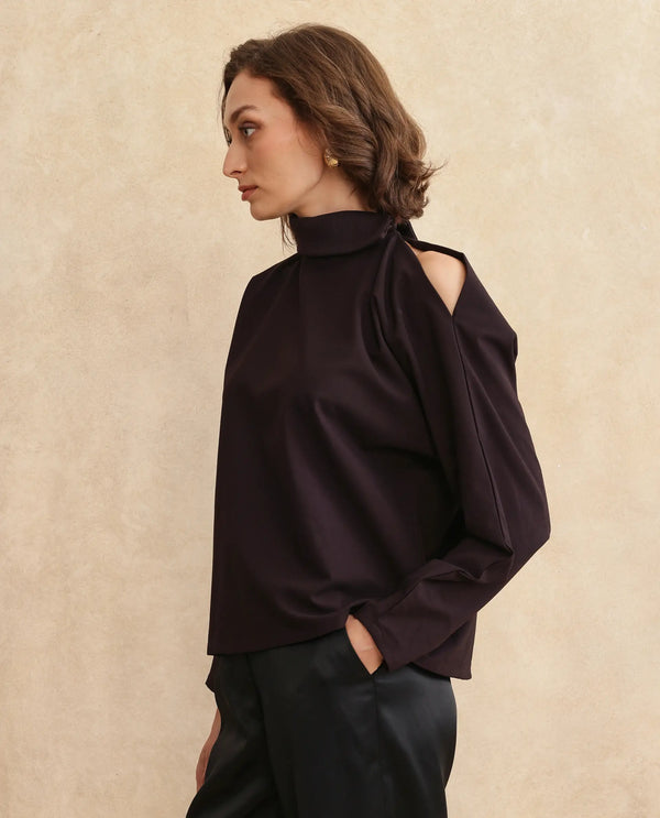 Rareism Women Natta Rust Regular Sleeve High Neck Regular Fit Plain Top