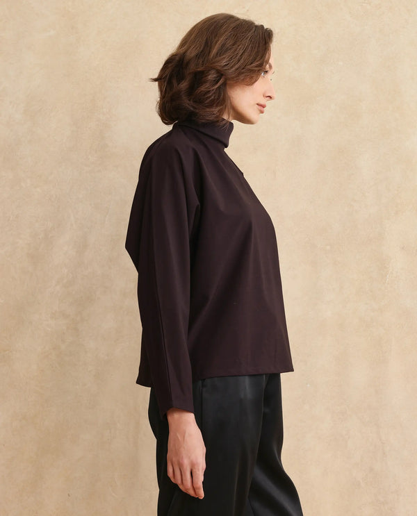 Rareism Women Natta Rust Regular Sleeve High Neck Regular Fit Plain Top
