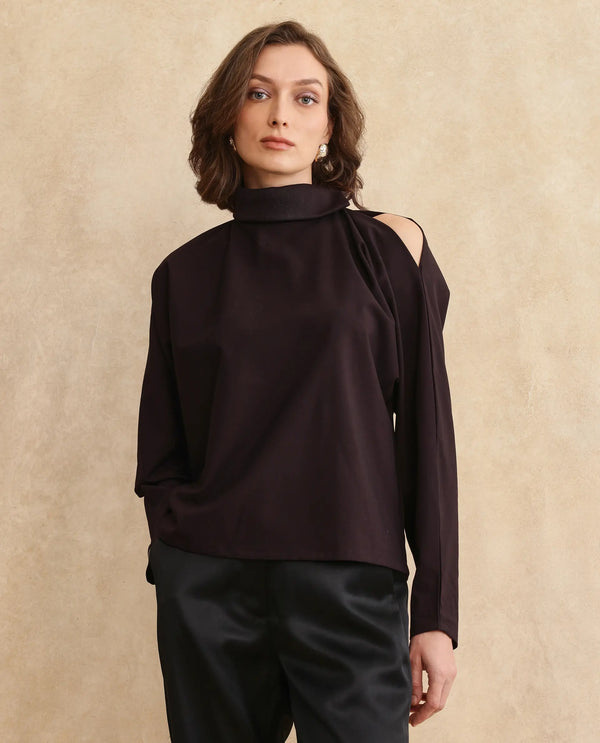Rareism Women Natta Rust Regular Sleeve High Neck Regular Fit Plain Top