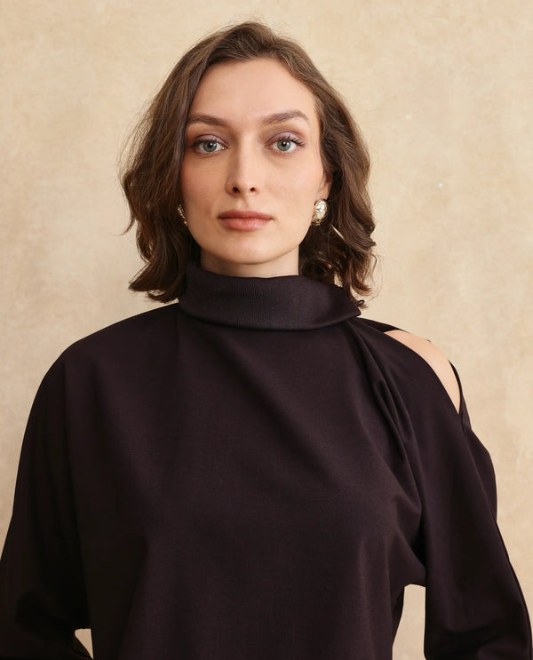 Rareism Women Natta Rust Regular Sleeve High Neck Regular Fit Plain Top
