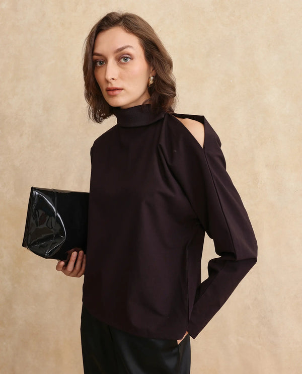 Rareism Women Natta Rust Regular Sleeve High Neck Regular Fit Plain Top