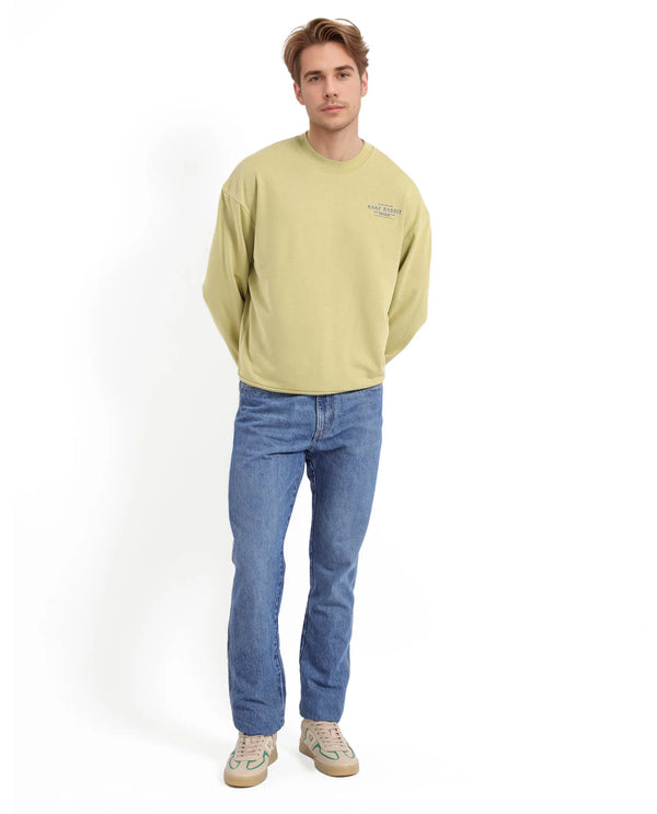 Rare Rabbit Men's Ore Pastel Green Cotton Blend Fabric Full Sleeve Crew Neck Boxy Fit Printed Sweatshirt