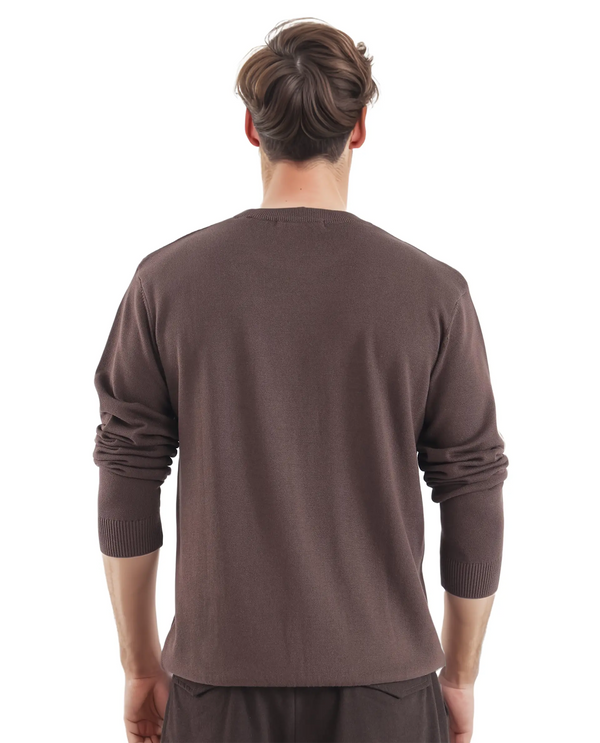 Rare Rabbit Men's Orito Brown Cotton Fabric Full Sleeve Crew Neck Regular Fit Textured Sweater