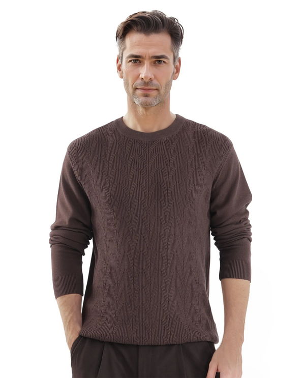 Rare Rabbit Men's Orito Brown Cotton Fabric Full Sleeve Crew Neck Regular Fit Textured Sweater