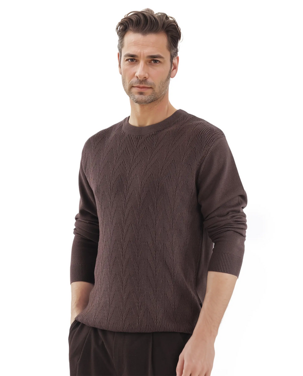 Rare Rabbit Men's Orito Brown Cotton Fabric Full Sleeve Crew Neck Regular Fit Textured Sweater
