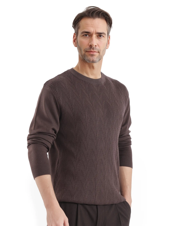 Rare Rabbit Men's Orito Brown Cotton Fabric Full Sleeve Crew Neck Regular Fit Textured Sweater