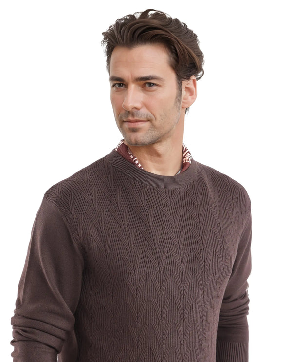 Rare Rabbit Men's Orito Brown Cotton Fabric Full Sleeve Crew Neck Regular Fit Textured Sweater