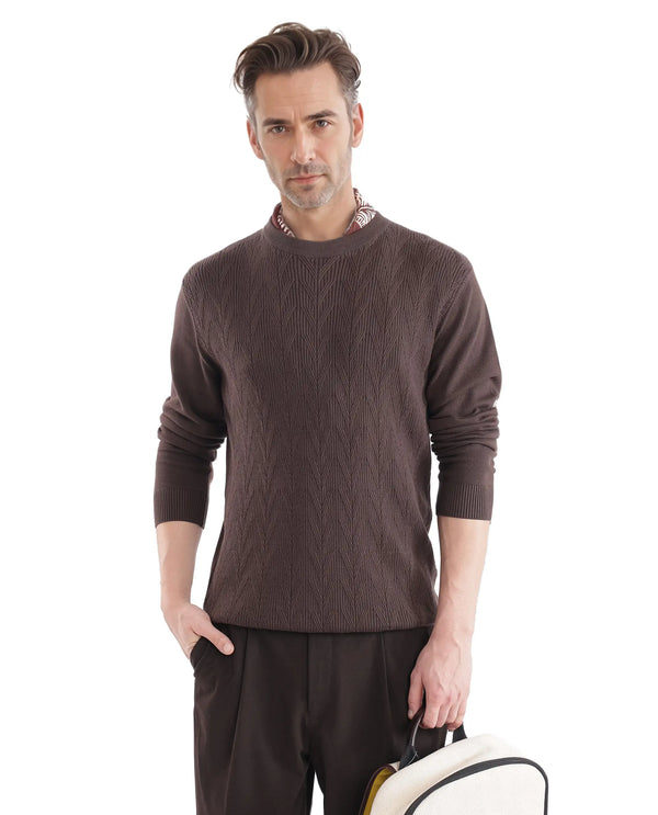 Rare Rabbit Men's Orito Brown Cotton Fabric Full Sleeve Crew Neck Regular Fit Textured Sweater