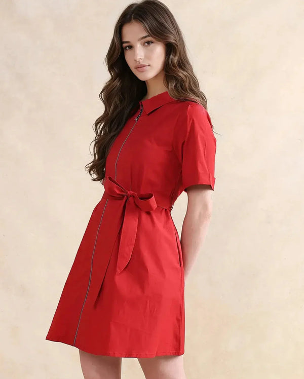 Rareism Women Poutf Rust Cotton Fabric Regular Sleeves Collared Neck Zipper Closure Flared Mini Plain Dress