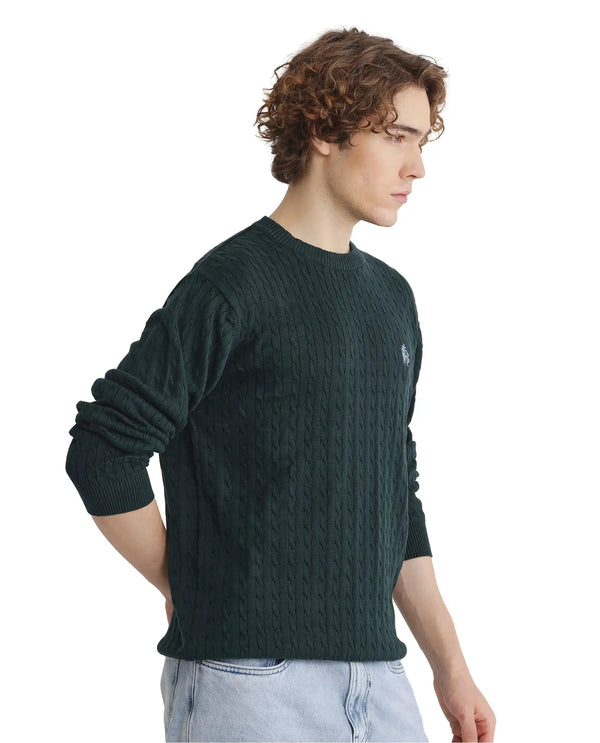 Rare Rabbit Men's Prota Dark Green Full Sleeve Collarless Regular Fit Plain Sweater